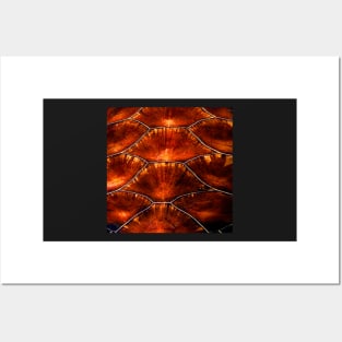 Abstract Turtle Shell Pattern Graphic Art Design, Turtle Lover Gift Posters and Art